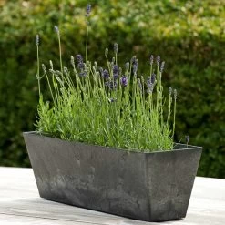 Blumenkasten Ella L55cm Schwarz -Blumen Verkauf 115059 artstone blumenkasten ella 55cm schwarz mit lavendel