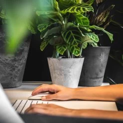 Blumentopf Claire D17cm Grau -Blumen Verkauf 115363 artstone blumentoepfe claire schwarz grau buero