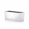 LECHUZA Blumenkasten Balconera Color All-in-One Set L50cm Weiß 1 LECHUZA Blumenkasten Balconera Color All-in-One Set L50cm Weiß -Blumen Verkauf 116149 lechuza balconera color 50cm weiss