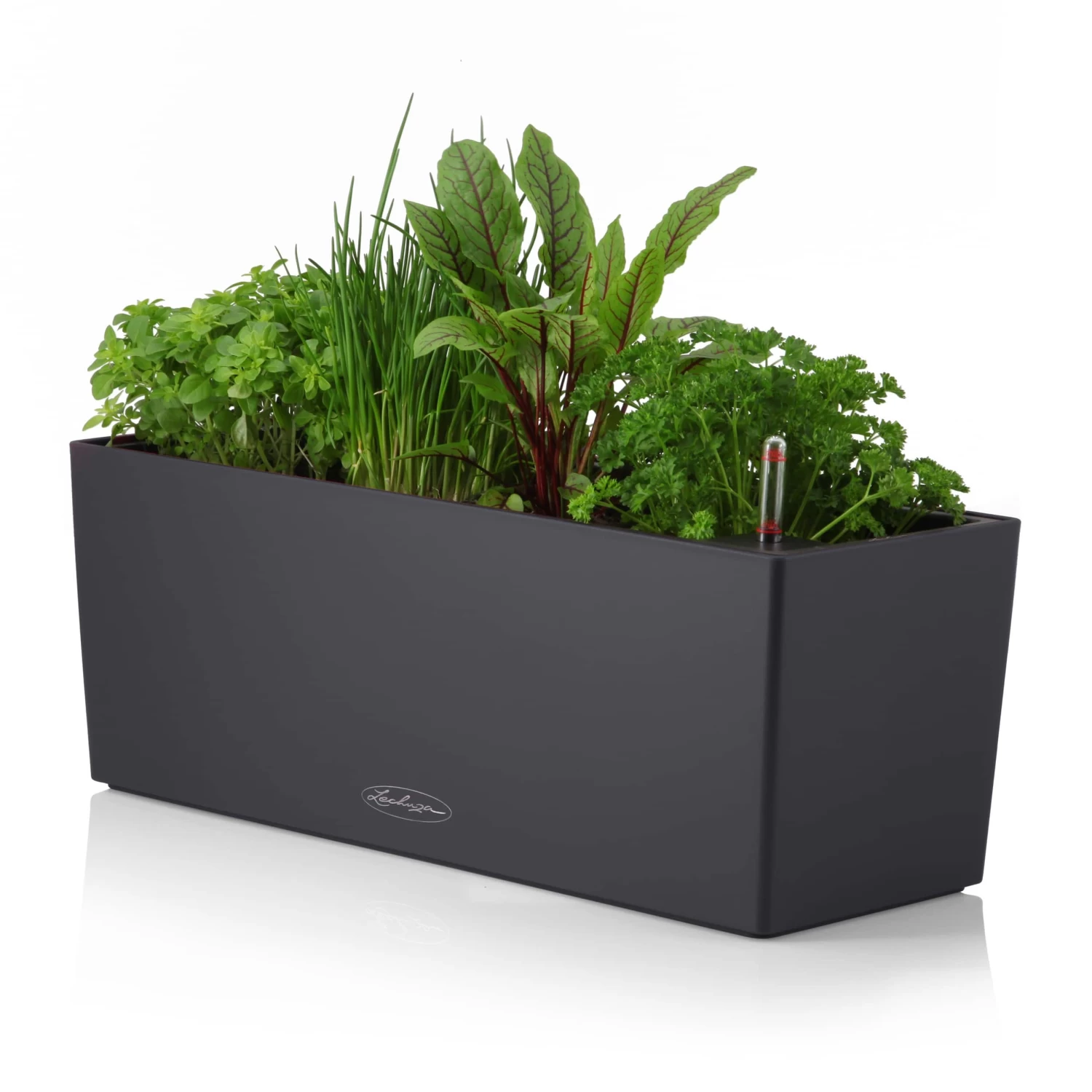 LECHUZA Blumenkasten Balconera Color All-in-One Set L50cm Schiefergrau 4 LECHUZA Blumenkasten Balconera Color All-in-One Set L50cm Schiefergrau – Bild 2