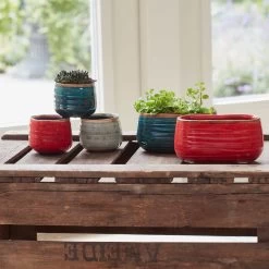 Keramik-Blumentopf Iris D6,5 Cm Mint -Blumen Verkauf 118718 ts indoor blumentopf keramik iris tuerkis 6cm