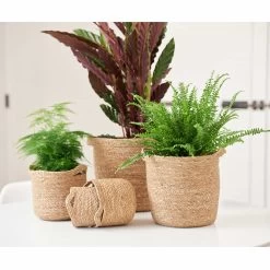 Blumentopf Nelis D23 Cm Natur -Blumen Verkauf 119527 ts indoor nelis 1