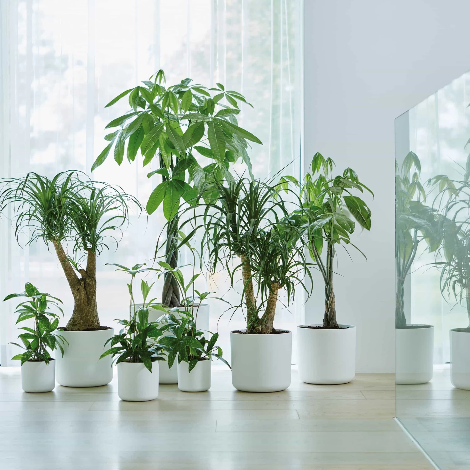 Elho Blumentopf B. For Soft Rund D25 Cm Weiß 4 Elho Blumentopf B. For Soft Rund D25 Cm Weiß – Bild 2