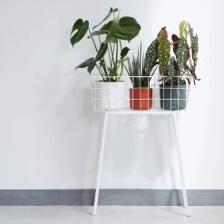 Elho Blumentopf B. For Soft Rund D25 Cm Weiß 10 Elho Blumentopf B. For Soft Rund D25 Cm Weiß -Blumen Verkauf 120121 elho blumentopf bforsoft rund weiss d25 1cm