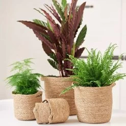 Blumentopf Nelis D28 Cm -Blumen Verkauf 126229 blumentopf natur nelis 28cm