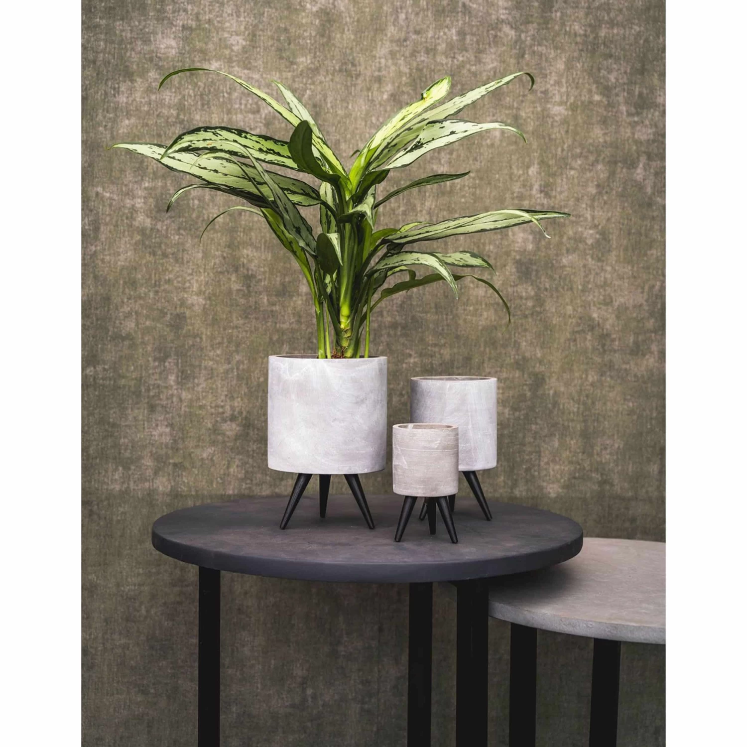 Blumentopf Imre D14 Cm Hellgrau Auslaufmodell 4 Blumentopf Imre D14 Cm Hellgrau Auslaufmodell – Bild 2