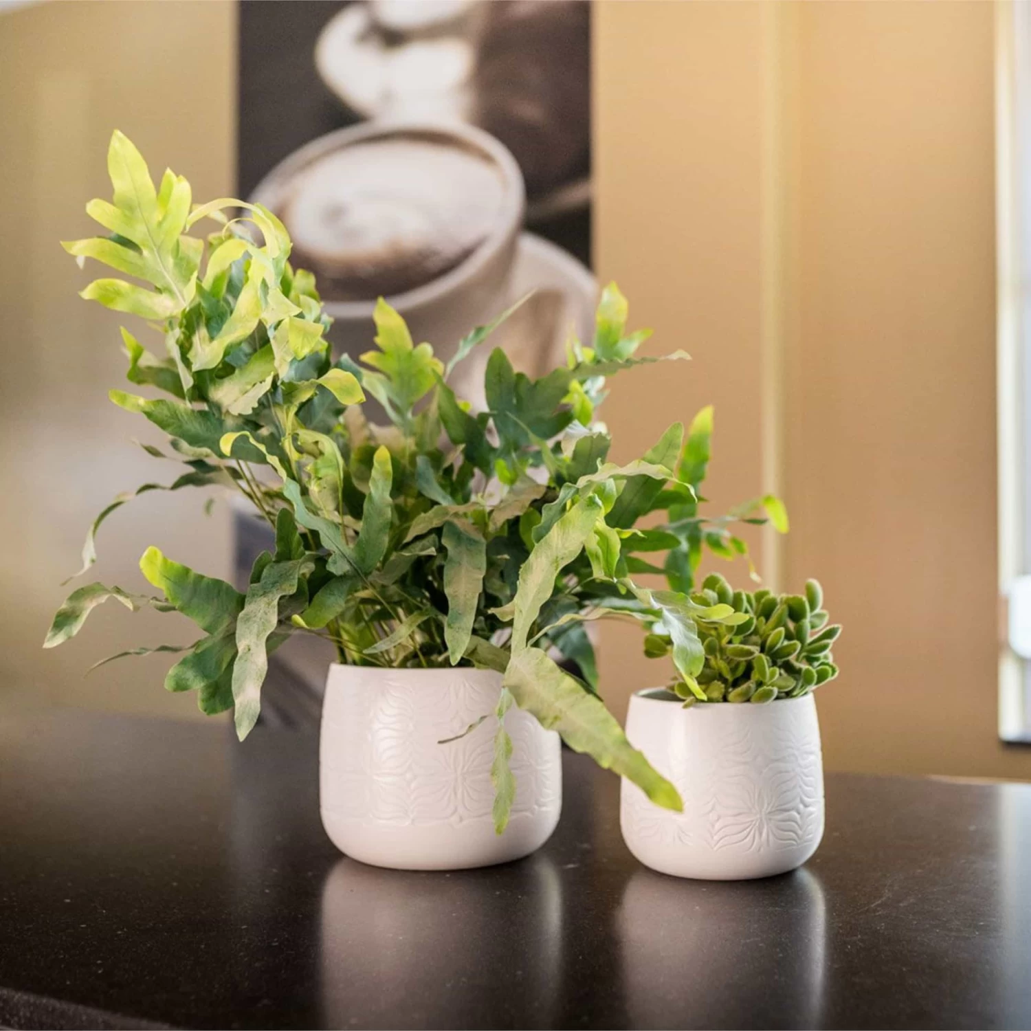 Übertopf Sytse D19 Cm Matt Weiß Auslaufmodell 4 Übertopf Sytse D19 Cm Matt Weiß Auslaufmodell – Bild 2