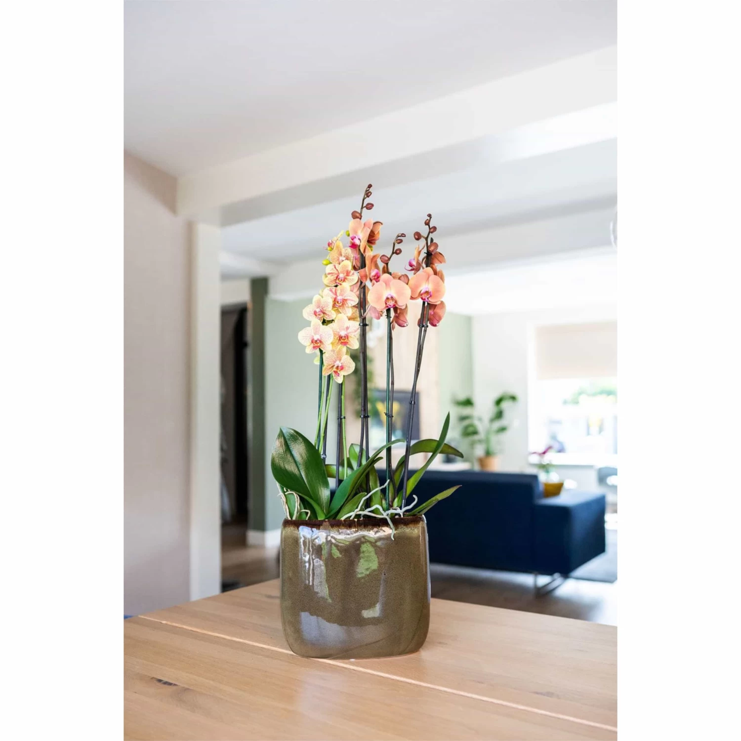 Keramik-Blumentopf Odile D19 Cm Sahara Auslaufmodell 4 Keramik-Blumentopf Odile D19 Cm Sahara Auslaufmodell – Bild 2