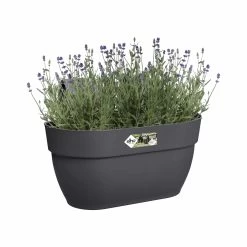 Elho Hängetopf Vibia Campana Easy Hanger L36 Cm Anthrazit -Blumen Verkauf 155064 haengetopf vibia campana easy hanger l36 cm anthrazit 4