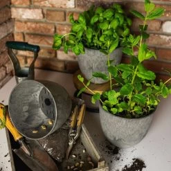 Blumentopf Bola D17 Cm Grau -Blumen Verkauf 179133 artstone bola 17 cm grau auf tisch mit kraeutern