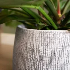 Blumentopf Ryan D15 Cm White Black 7 Blumentopf Ryan D15 Cm White Black -Blumen Verkauf 229050 blumixx tsi kerami blumentopf ryan white black detail