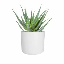 Elho Blumentopf B.for Soft Rund D16 Cm Weiß -Blumen Verkauf 277904 elho blumentopf b for soft 16cm weiss zimmerpflanze