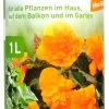 Blumendünger Mit Guano - 1 L 1 Blumendünger Mit Guano - 1 L -Blumen Verkauf Blumenduenger20mit20Guano2035112 V01