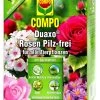 Compo Duaxo Rosen-Pilz-frei - 50 Ml 1 Compo Duaxo Rosen-Pilz-frei - 50 Ml -Blumen Verkauf Compo20Duaxo20Rosen20Pilz frei 31338 V01