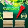 Compo Grünpflanzen- Und Palmen Düngestäbchen Mit Guano - 30 Stück