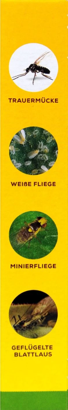 Solabiol Gelbsticker - 10 Stück 5 Solabiol Gelbsticker - 10 Stück – Bild 3