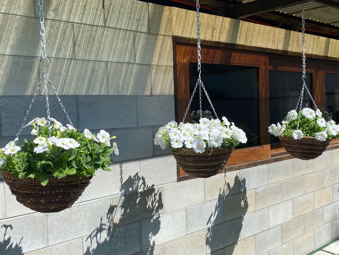 Blumen Verkauf -Blumen Verkauf 8CFC355F FBB2 4EF0 A09D C6AC4CC3F263